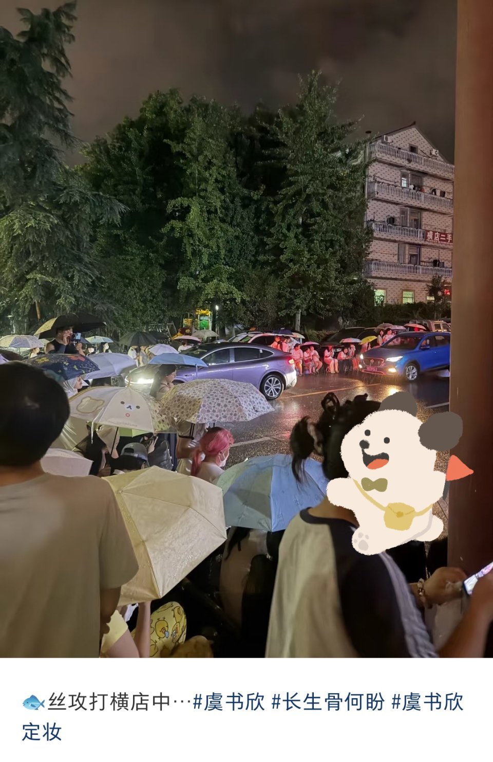 不尔，今天不是才定妆，鱼丝你们
