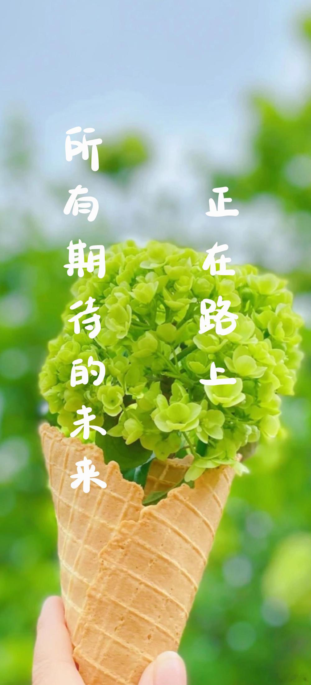 2024你好呀[抱一抱][抱一抱][抱一抱] ​​​