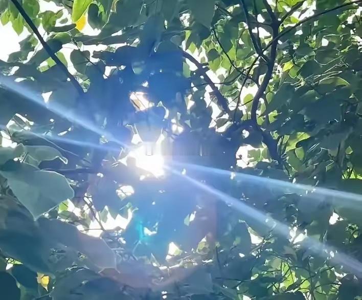 这下大家放心了，再过6天，也就是8月14号，全国各地都将正式末伏阶段，一共10天
