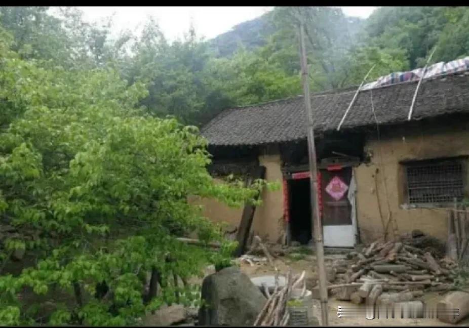 鹧鸪天-老屋：
老锁锈浊已难解，
野草丛生静无声。
开门吱呀声声涩，
难觅早年父