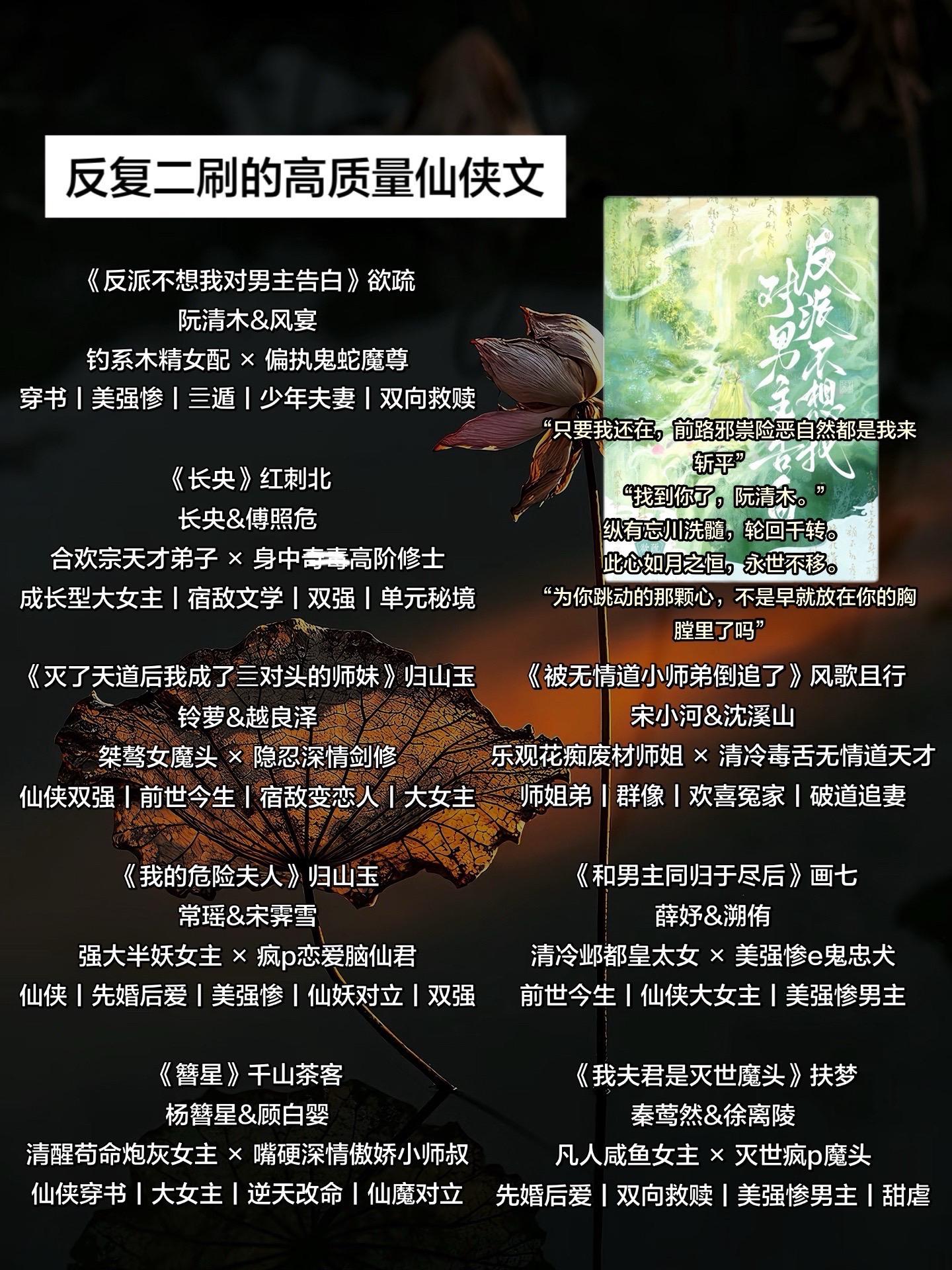 值得二刷的高质量仙侠文。