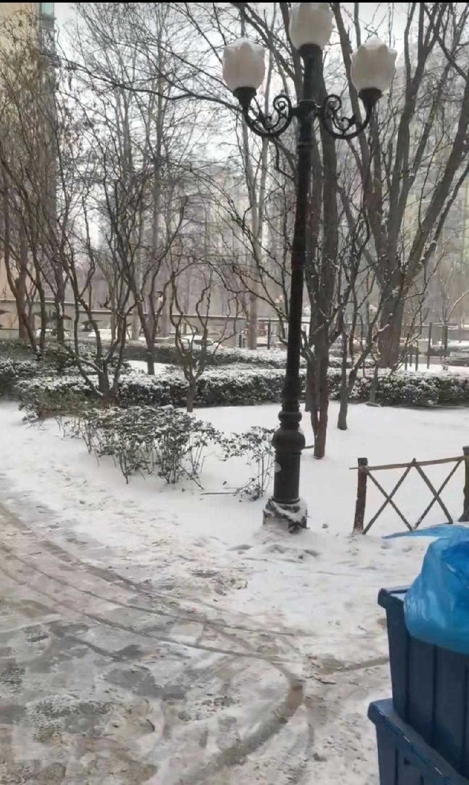 今儿带娃出门看雪啦，出门前还担心娃下去冷不冷，结果一到楼下他就撒欢儿跑开了。小区