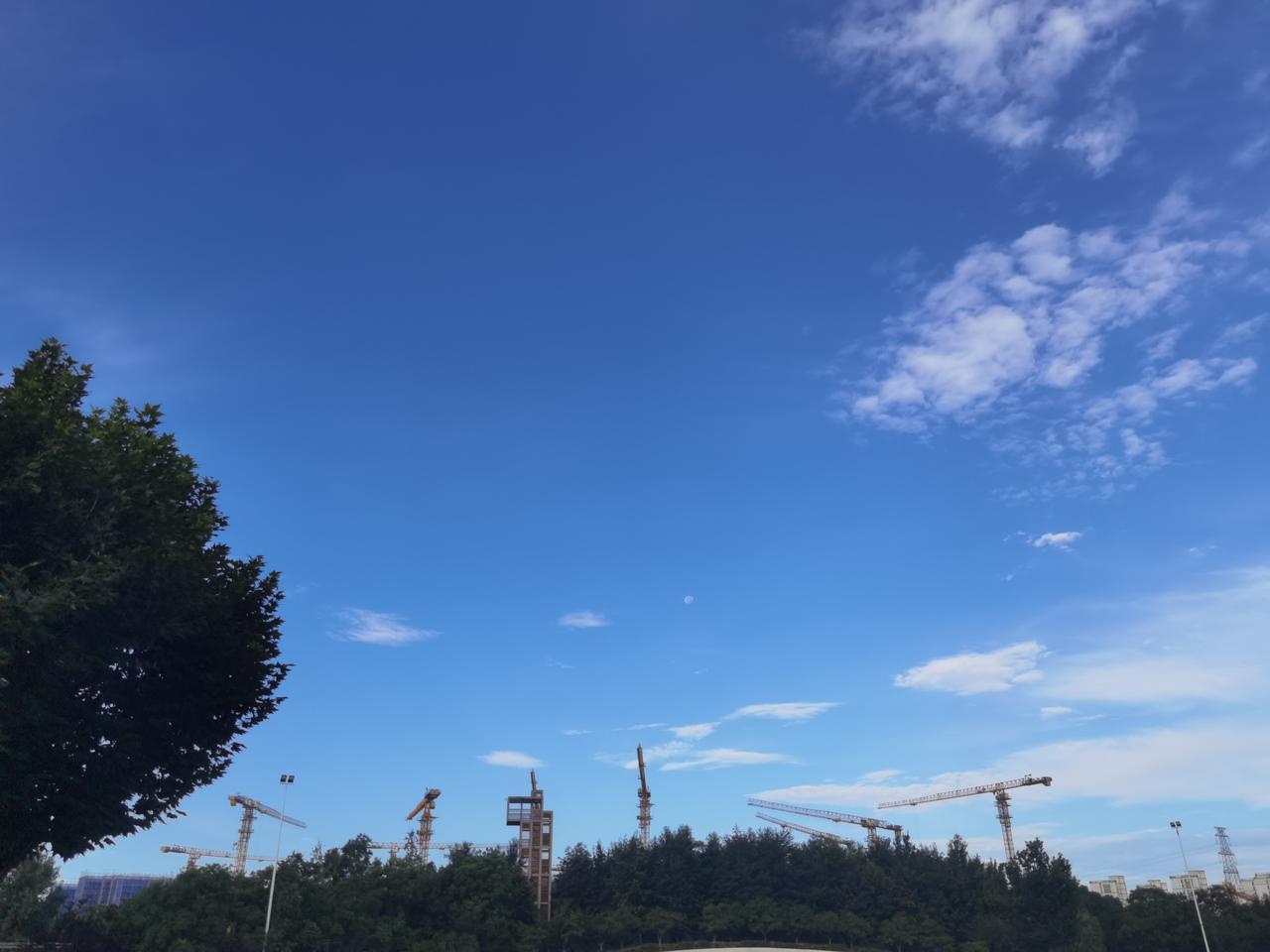 洋泾湖走了10圈，没有头二天那么累。坚持，走到脸不变色心不跳才好。
今天月亮还挂