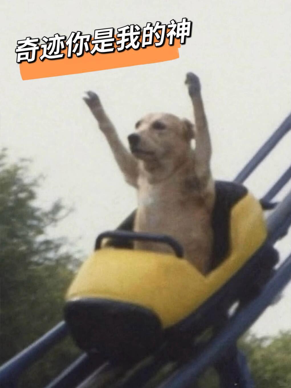 奇迹定档12月22日奇迹定档预告片. 从深交所开市到智慧城市，《奇迹》写尽时代印