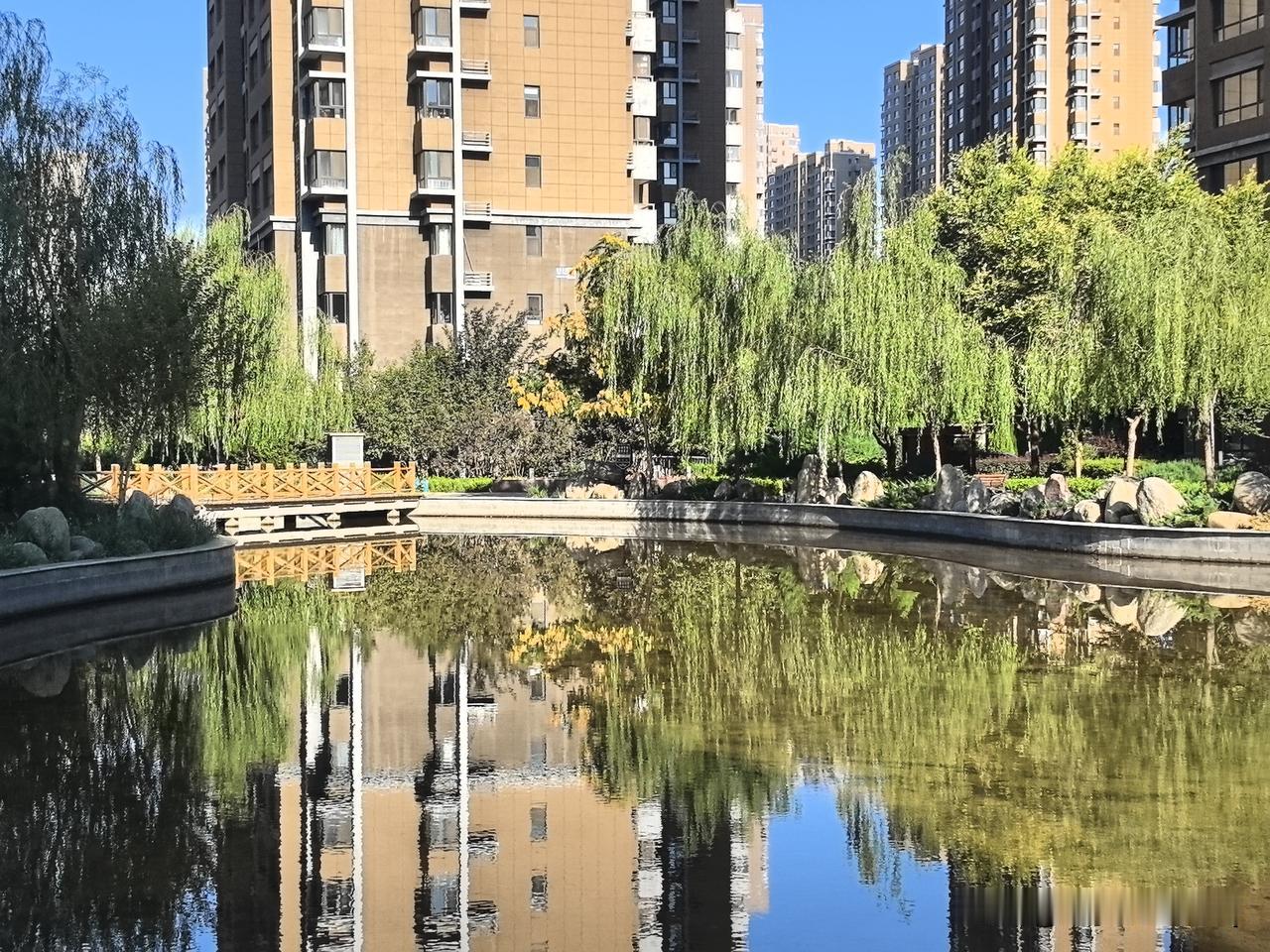 随手拍一张你城市的蓝天景色高楼林立的社区藏着一方静水，垂柳成排垂落绿意，楼宇与碧