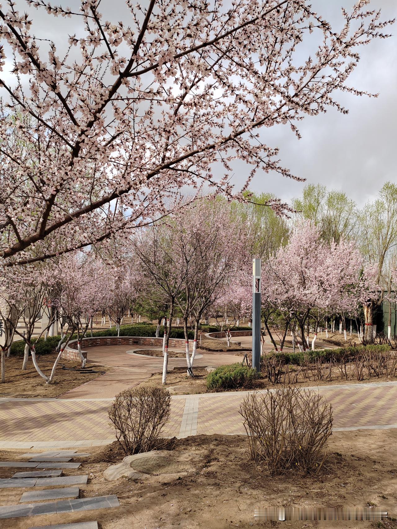 中考数学作辅助线万能口诀（直接背）
 
中点中线倍延长，角分垂线截等长。
等腰直