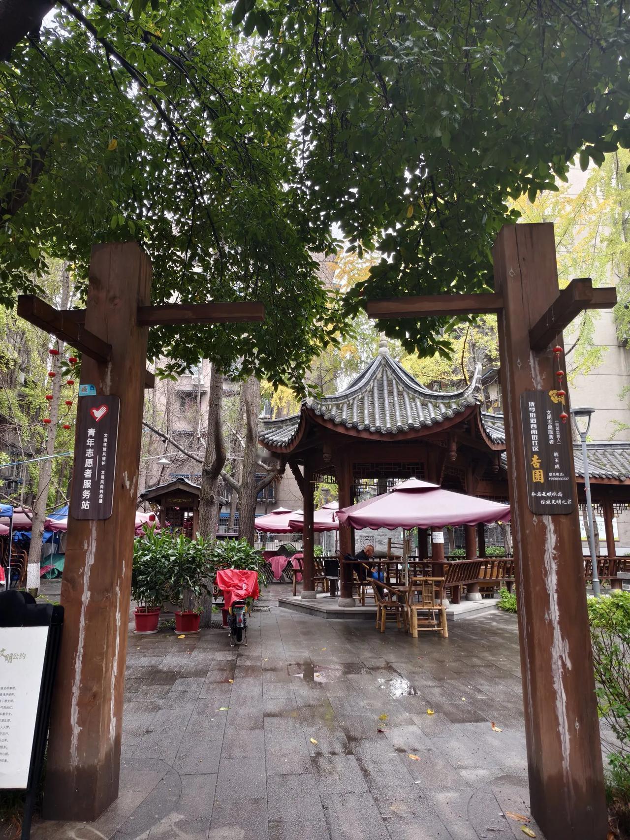 抚琴杏园
        ——南木子
抚琴街道美杏园，
喝茶养鸟多休闲。
雨后太
