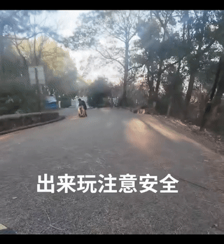 视频外有一个女子在大声喊：“等一下！等一下！有车。”
玩的孩子听到女子的喊后，站