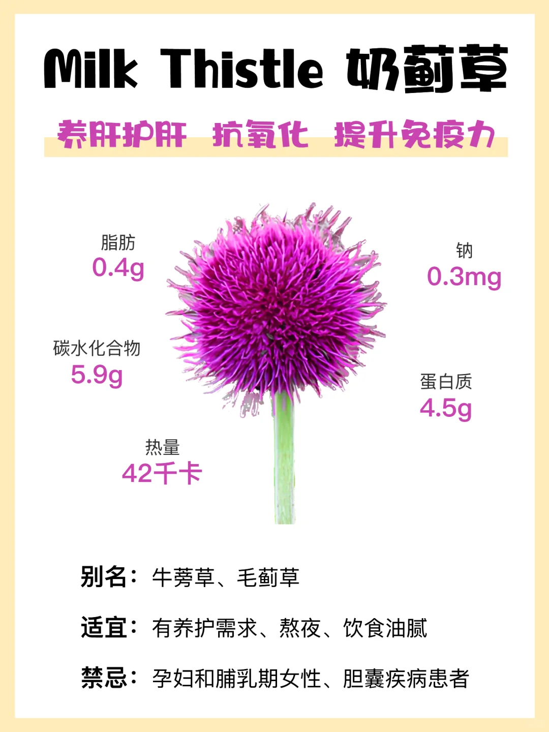 护肝成分大全 | 护肝片成分分析🧐 别乱买