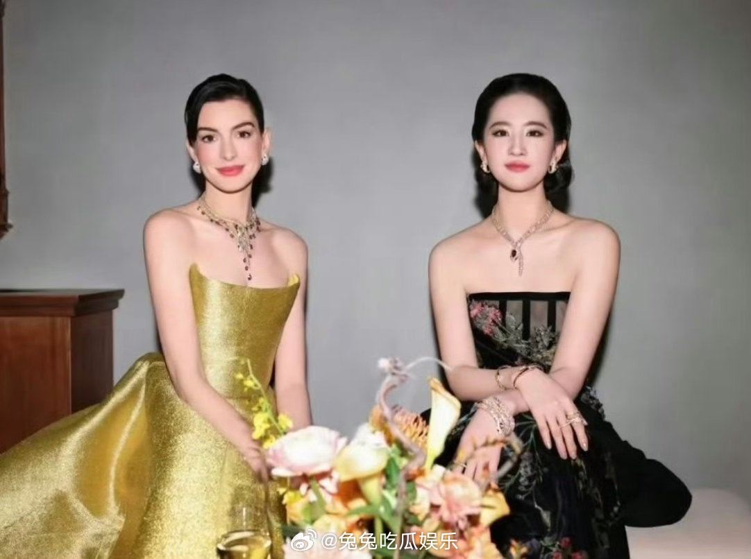 刘亦菲安妮海瑟薇神图  刘亦菲安妮海瑟薇神图，美女同框太养眼了 