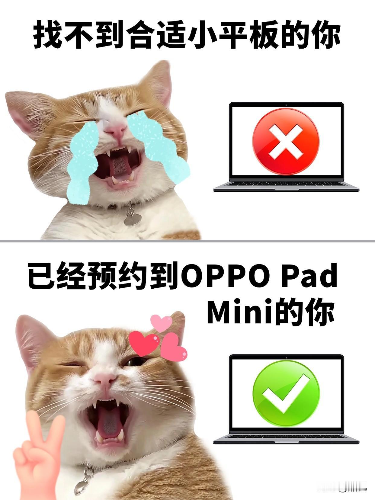 大家要的小平板来了！OPPO Pad Mini拯救小手星人！
是谁在吐槽用手机追