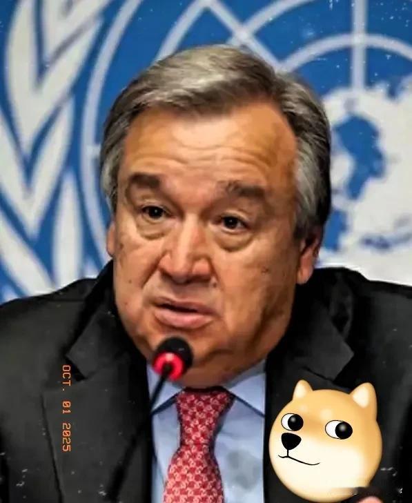 就在刚刚
联合国宣布了！
10月1日，联合国安理会宣布：通过一项重磅决议，决定将