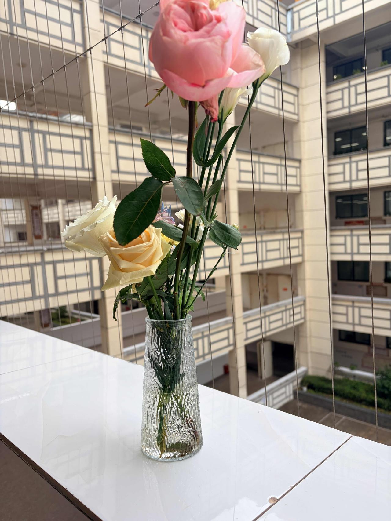 什么叫“教育”？
“教”是传授启发，
“育”是滋养成长，
将知识的种子播入心田，