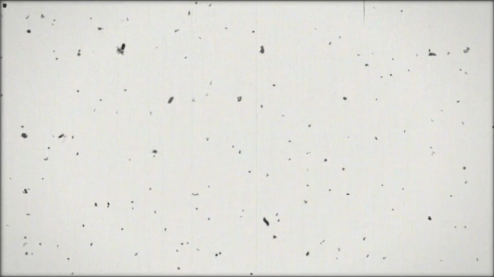 大麦年终聊点不一样的大麦年终藏着电影人的初心2025银幕好戏连台！《哪吒之魔童闹