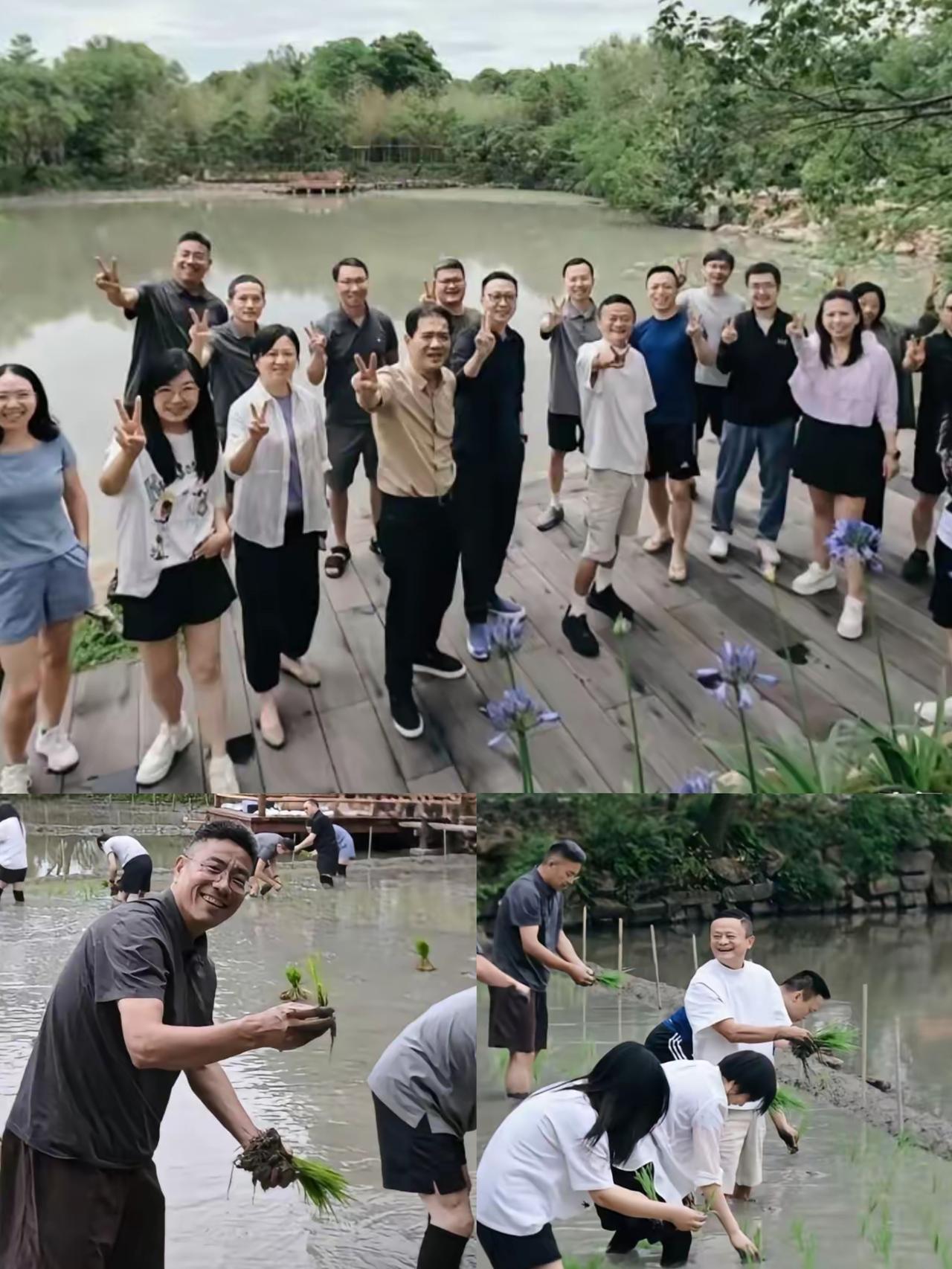 一众高管挽起裤脚下田插秧，马云带队的这场田间活动一曝光就引爆了网络。浙商杂志解读