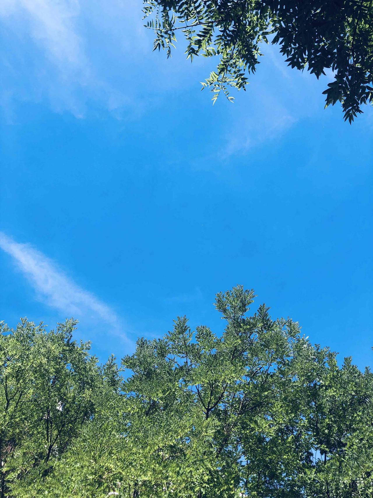 要像建设新中国一样
去建设自己
经济独立
思想解放
内在秩序
对外开放
五年规划