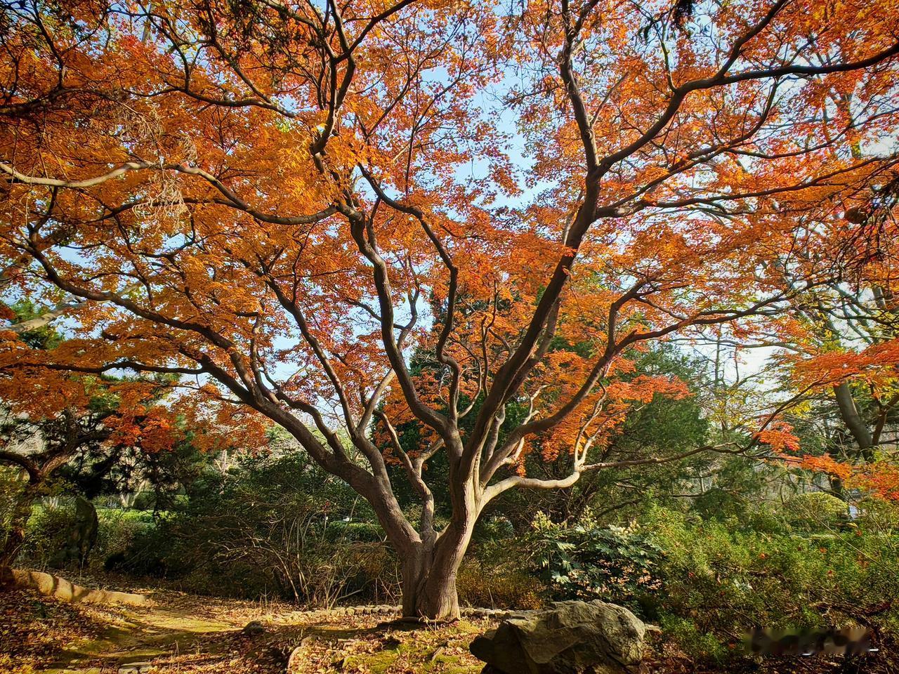 重磅好消息！你的钱就是你的钱！央行新规为正常储户“松绑”，对可疑账户“上锁”，个