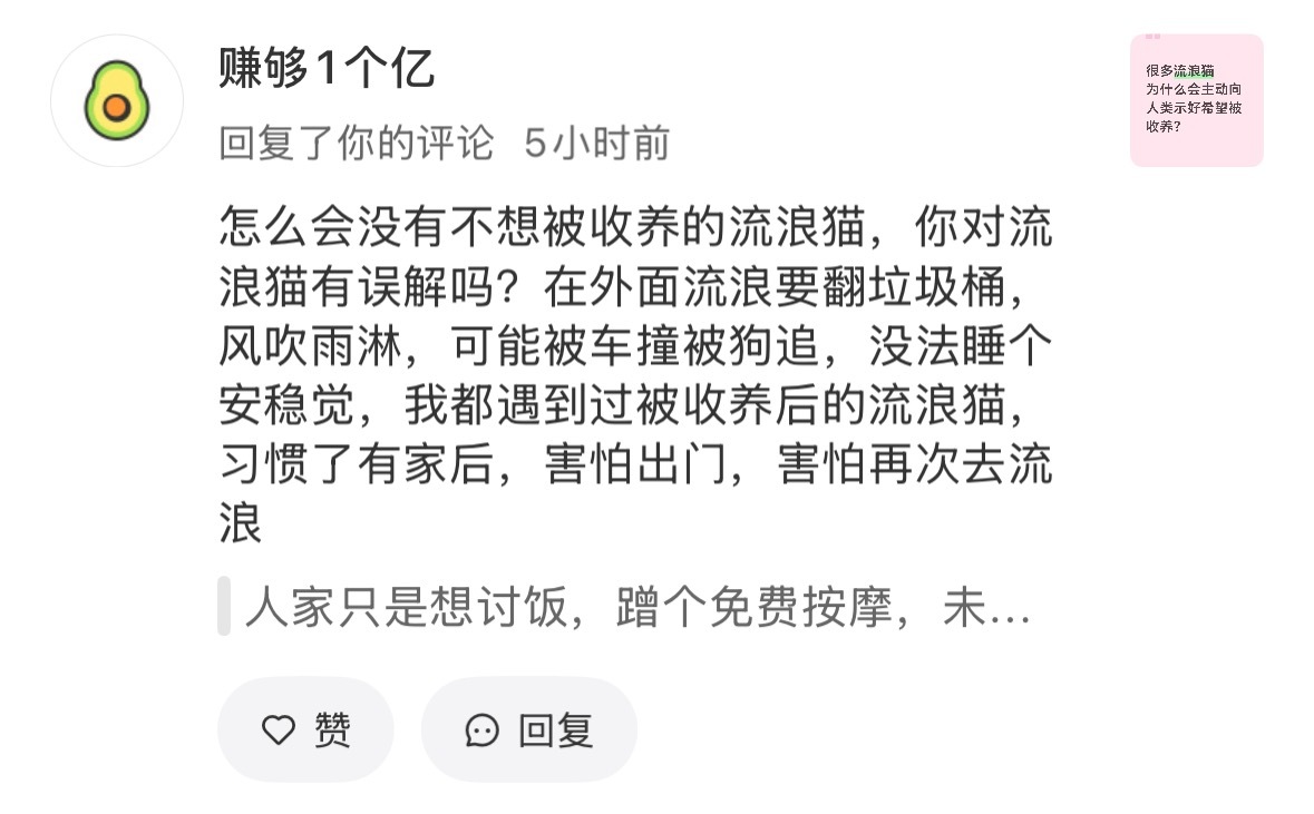 红薯上遍地都是这种 见过一个猫就代表全世界的猫……真多年做救助的，没有人不懂猫的