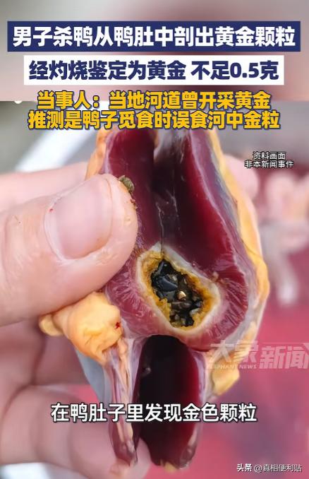 意外之喜！湖南邵阳，一男子过年时杀鸭来吃，不料在处理鸭子时，竟从鸭肚子中发现一些