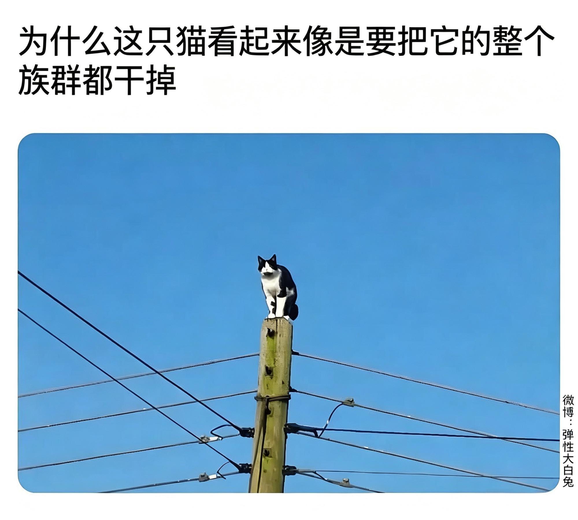 这该死的压迫感   火影忍者