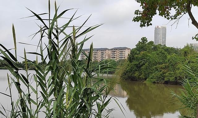 台湾是不是中国固有领土？不是美国说了算，也不是台湾 2300 民意说了算，而是中