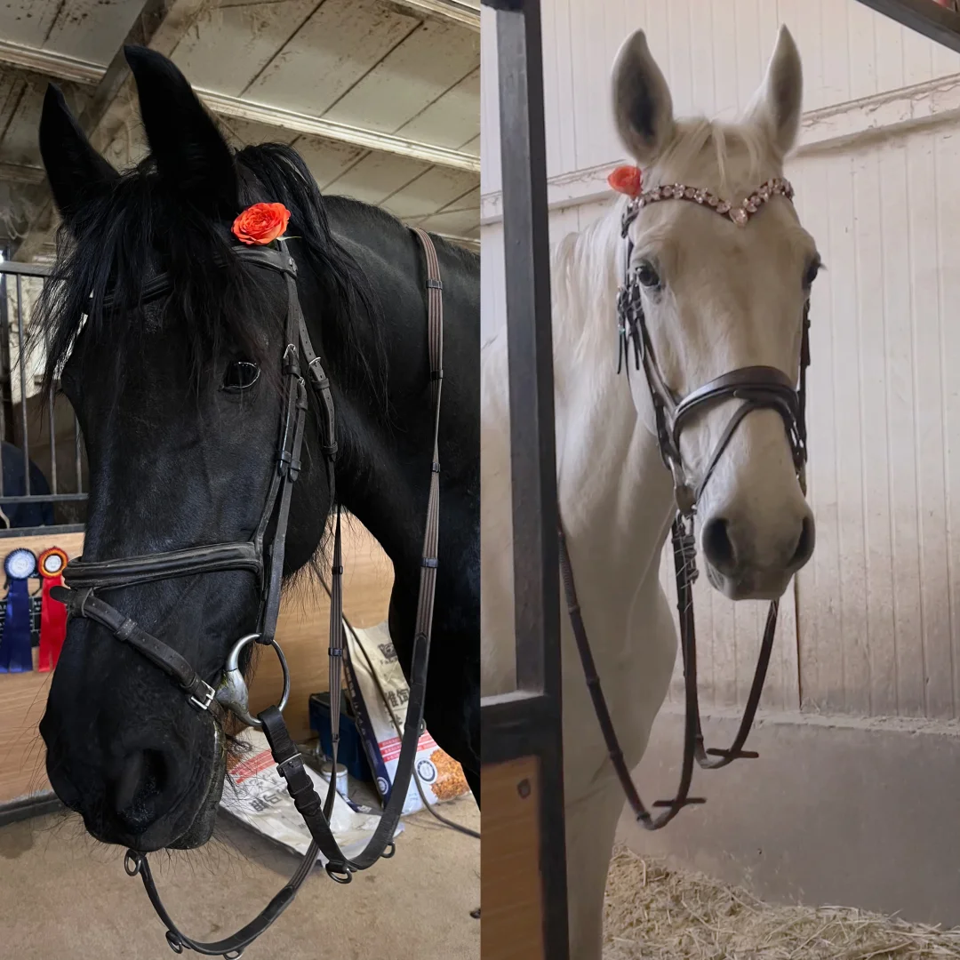 黑白汤圆㊗️元宵节快乐