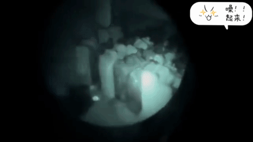 以色列够可以的。以色列总理内塔尼胡称，冒死送了300L汽油到希法医院，好博爱啊。