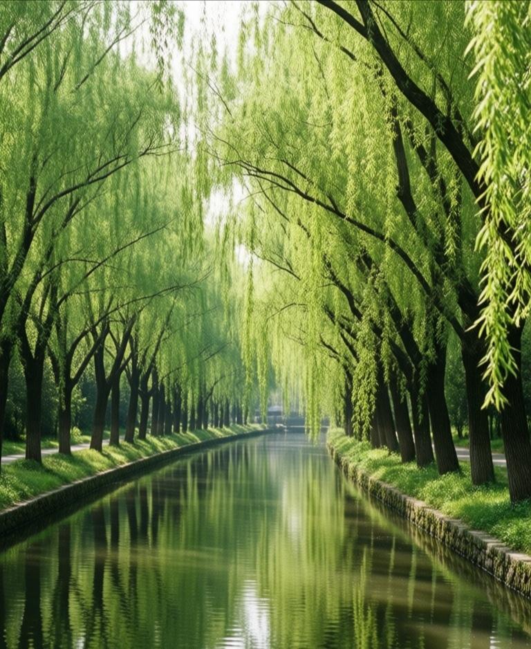 古人说“吹面不寒杨柳风”，此刻便深有体会。那风确实是带着柳意的，不疾不徐，拂在脸