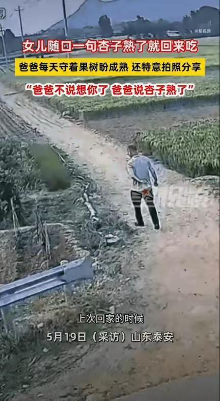 母亲这回是真的老了。

她怎么也没想到，自己偷偷塞进包里的两千块钱，会被女儿在监