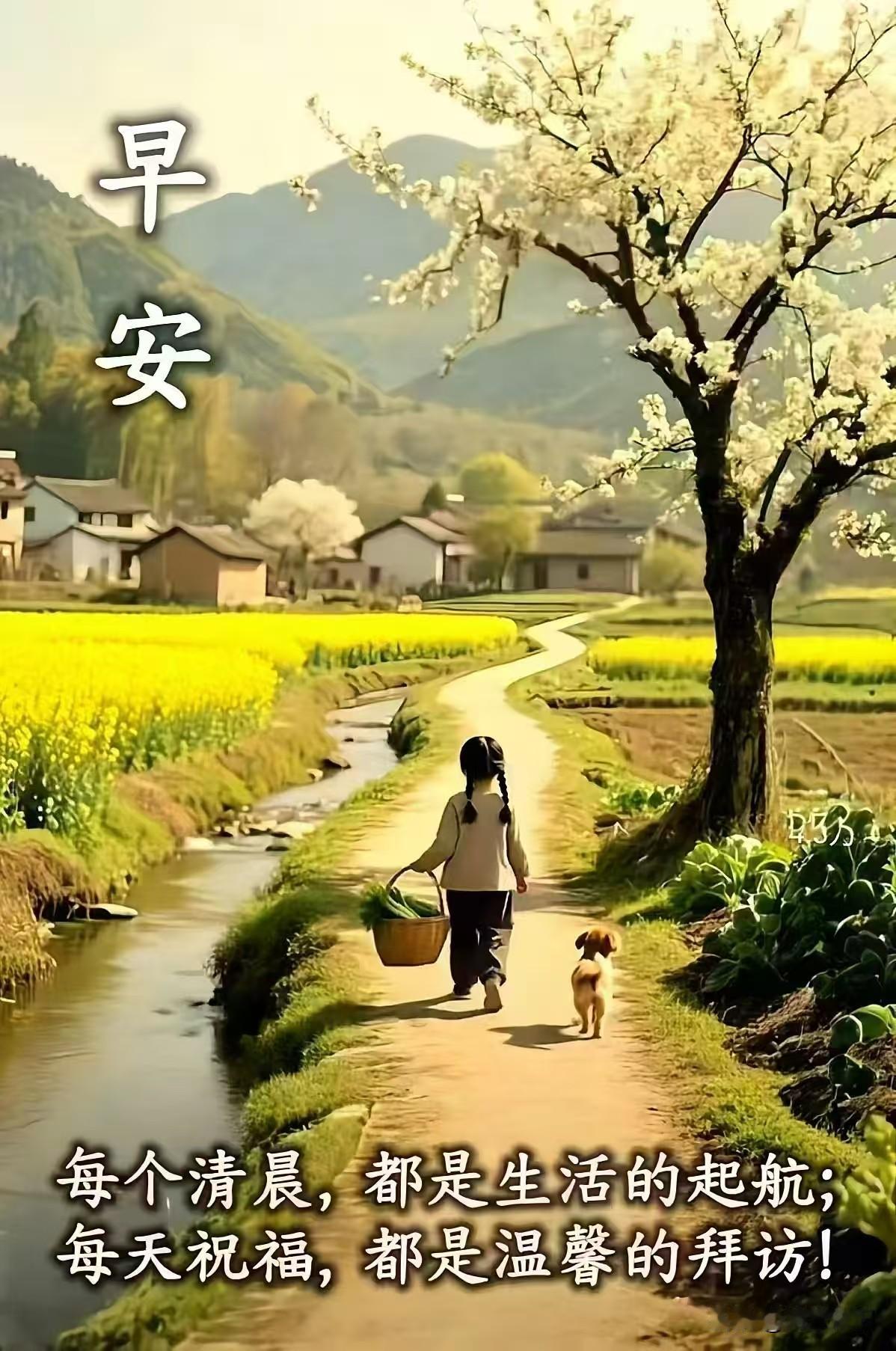 五律《忆友寄怀》
 
韶光难复返，
逝水不回航。
晚照凝清彩，
余晖自焕光。
故