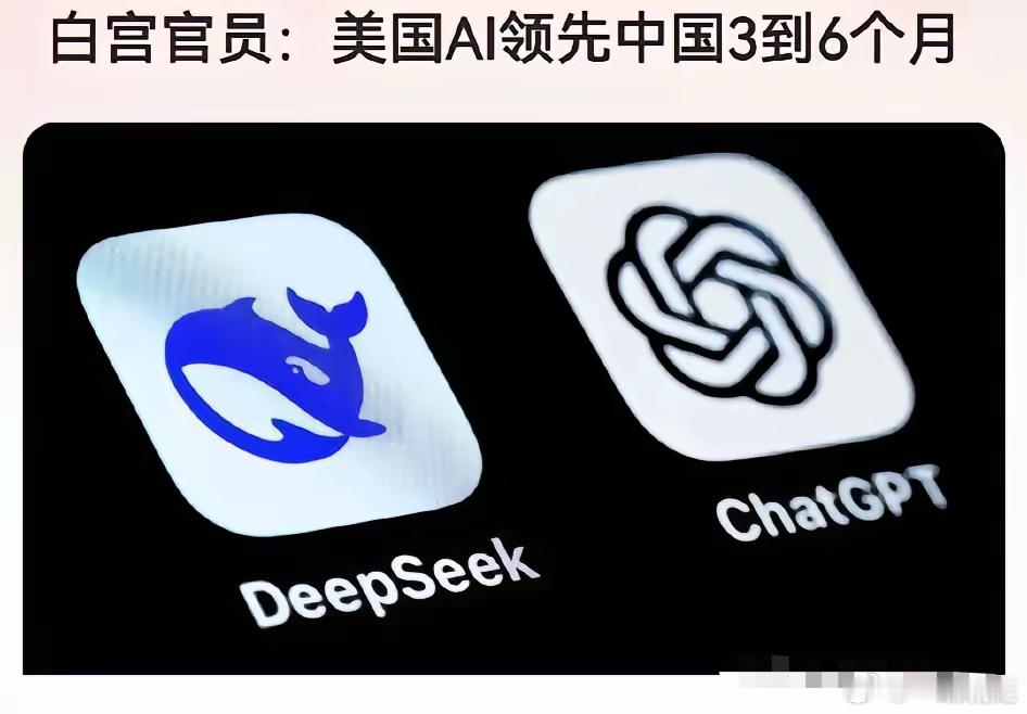 看看，世界各国对deep seek的态度！美国:进行安全审查，军队禁止使用，网络