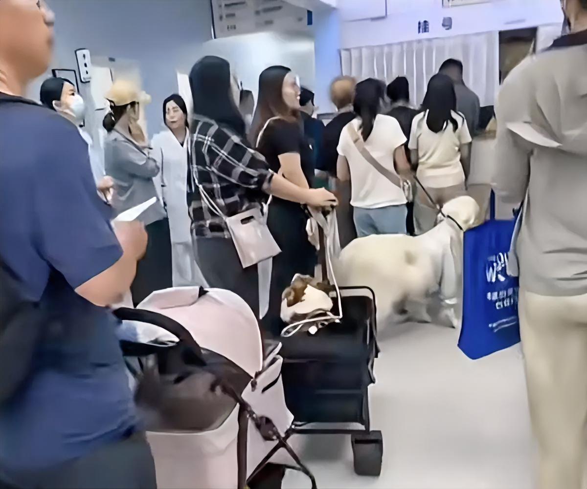 听了医生朋友透露才知道，
原来挂号费不是给医生的，
只是医院的一个收费标准，
而