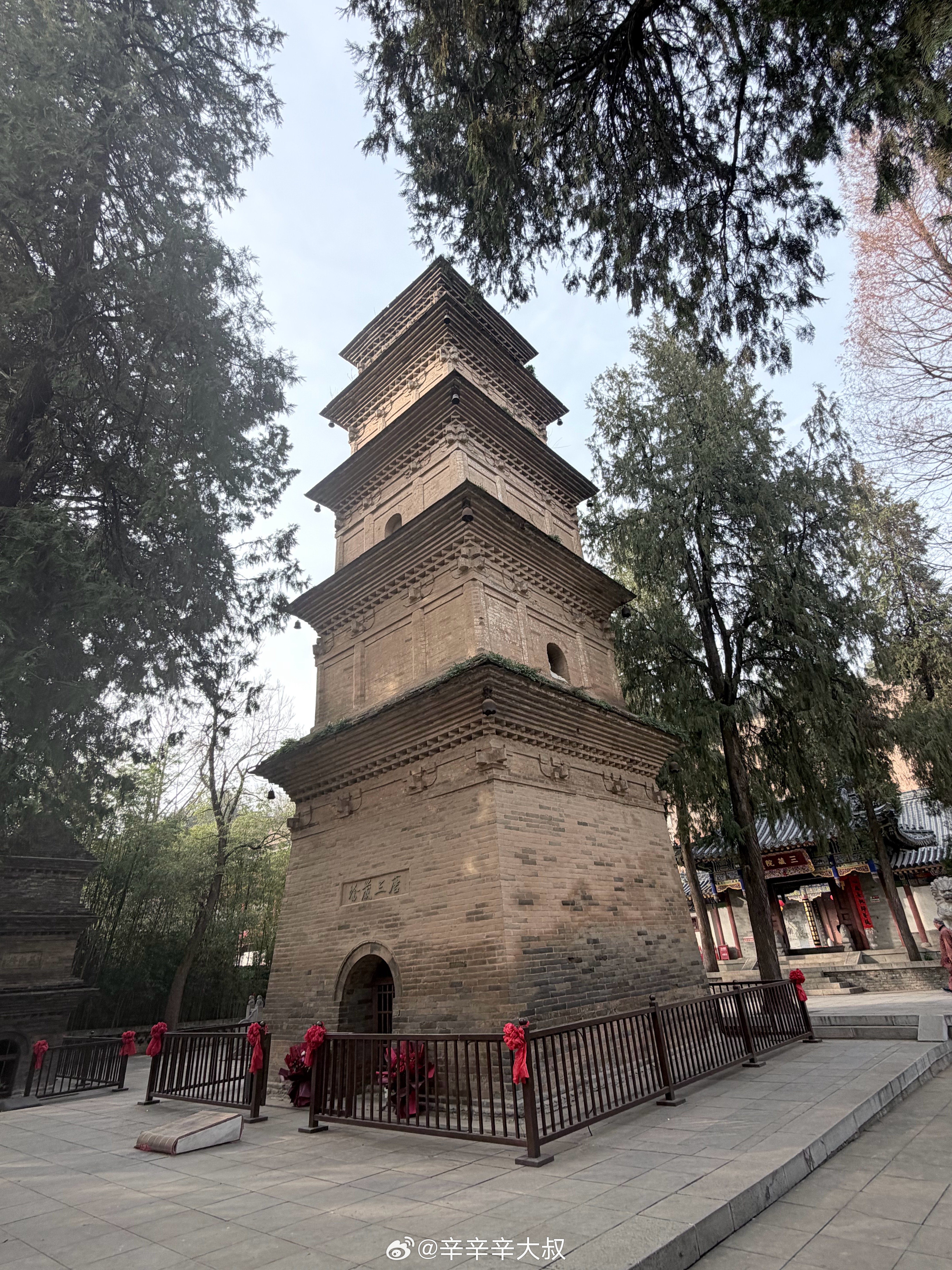 穷生奸计 富长良心去年到今年又狠狠交了一次学费 终于长记性了 