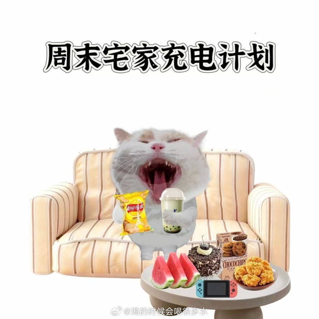 周末计划vs实际周末周末计划精致打卡、出门闲逛，现实却是油头宅家赖床。步数寥寥无