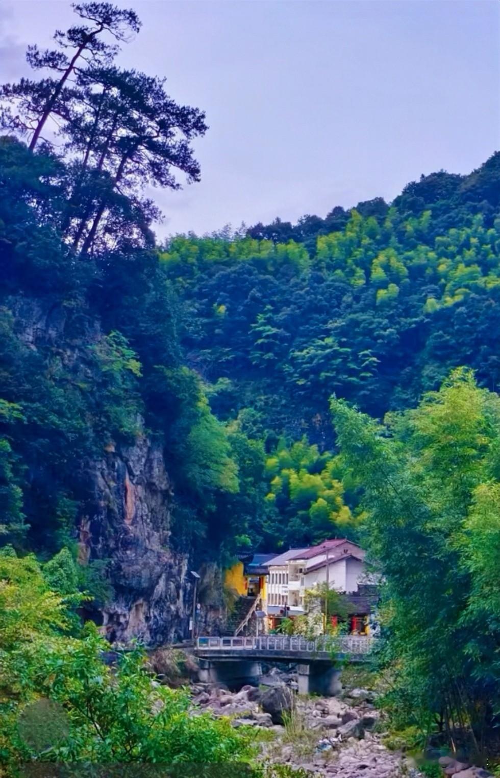 我还真有几张山凹里独居的绝美照片。照片里，一座小木屋藏于山凹之间，被大片翠绿的山