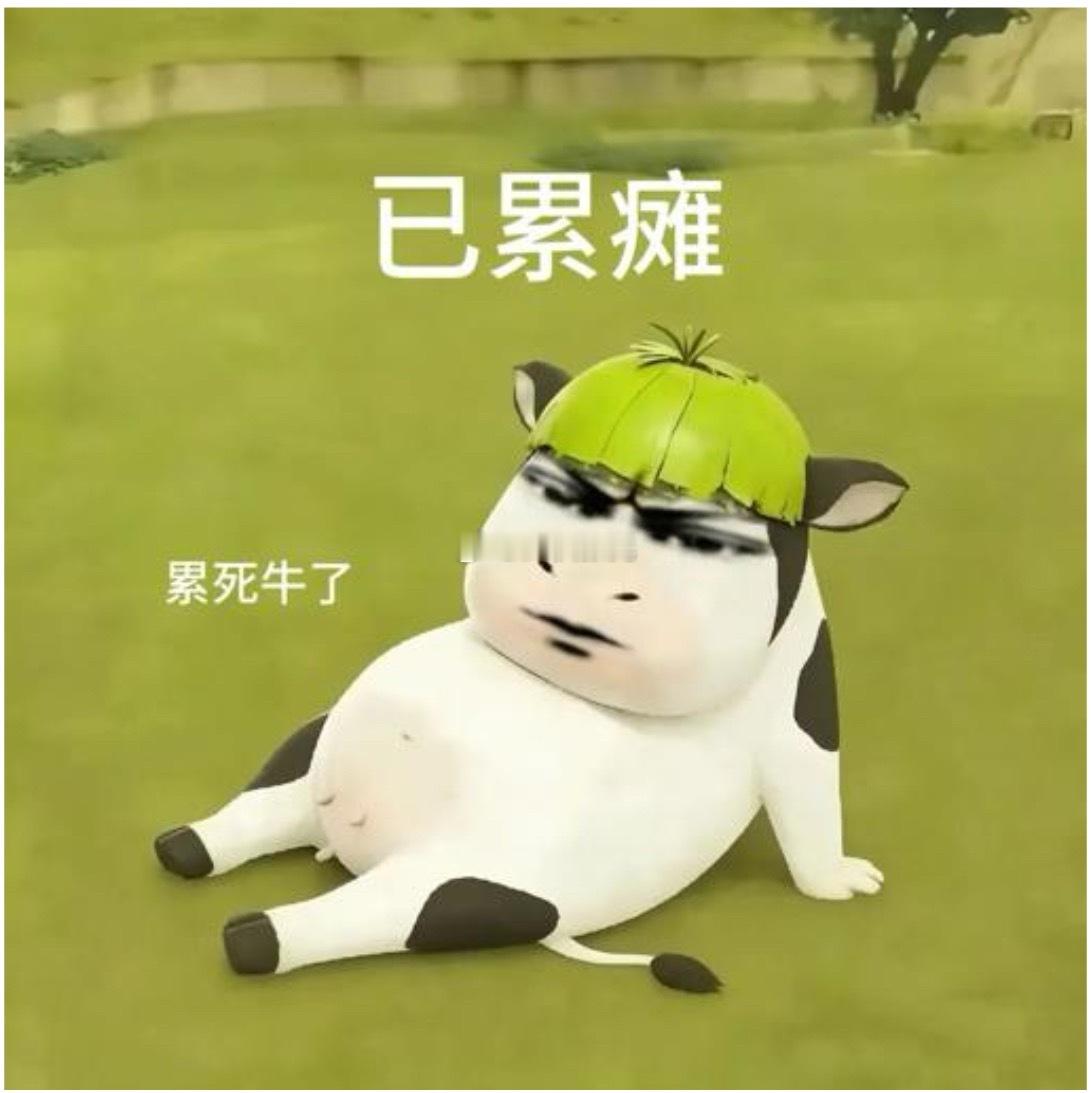 现在的真实状态，盘面都没时间看，这个行情只要不瞎搞，应该都能赚点吧