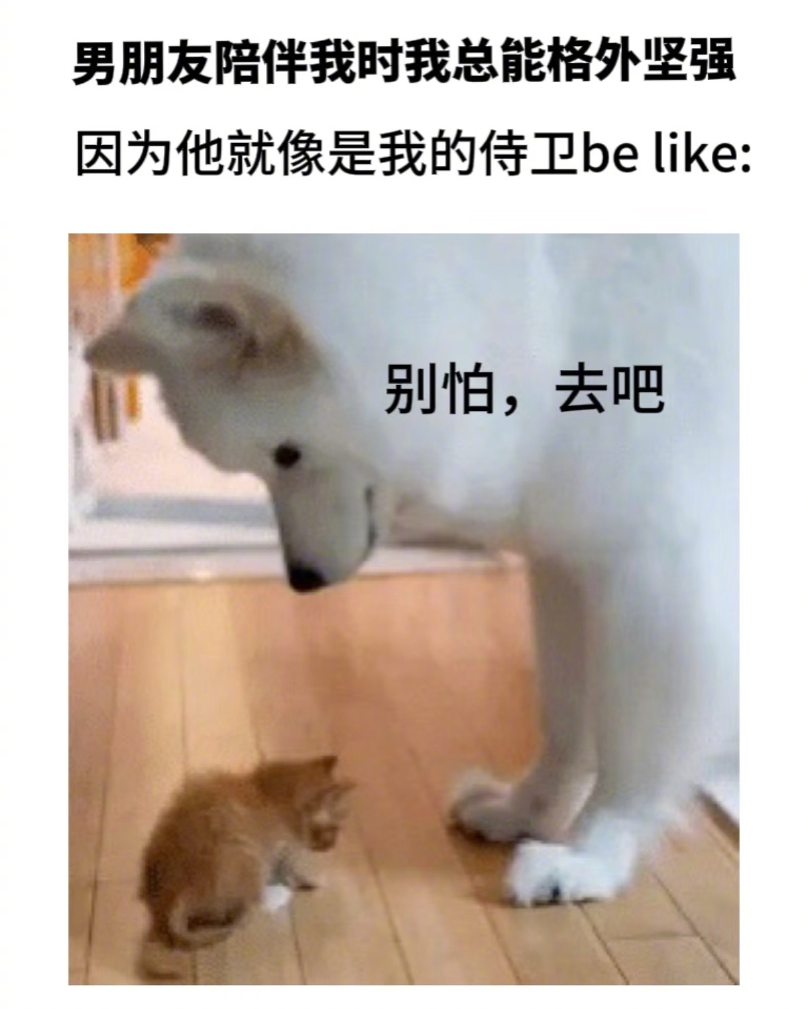 男朋友: 我在呢 尽管去吧 ​​​