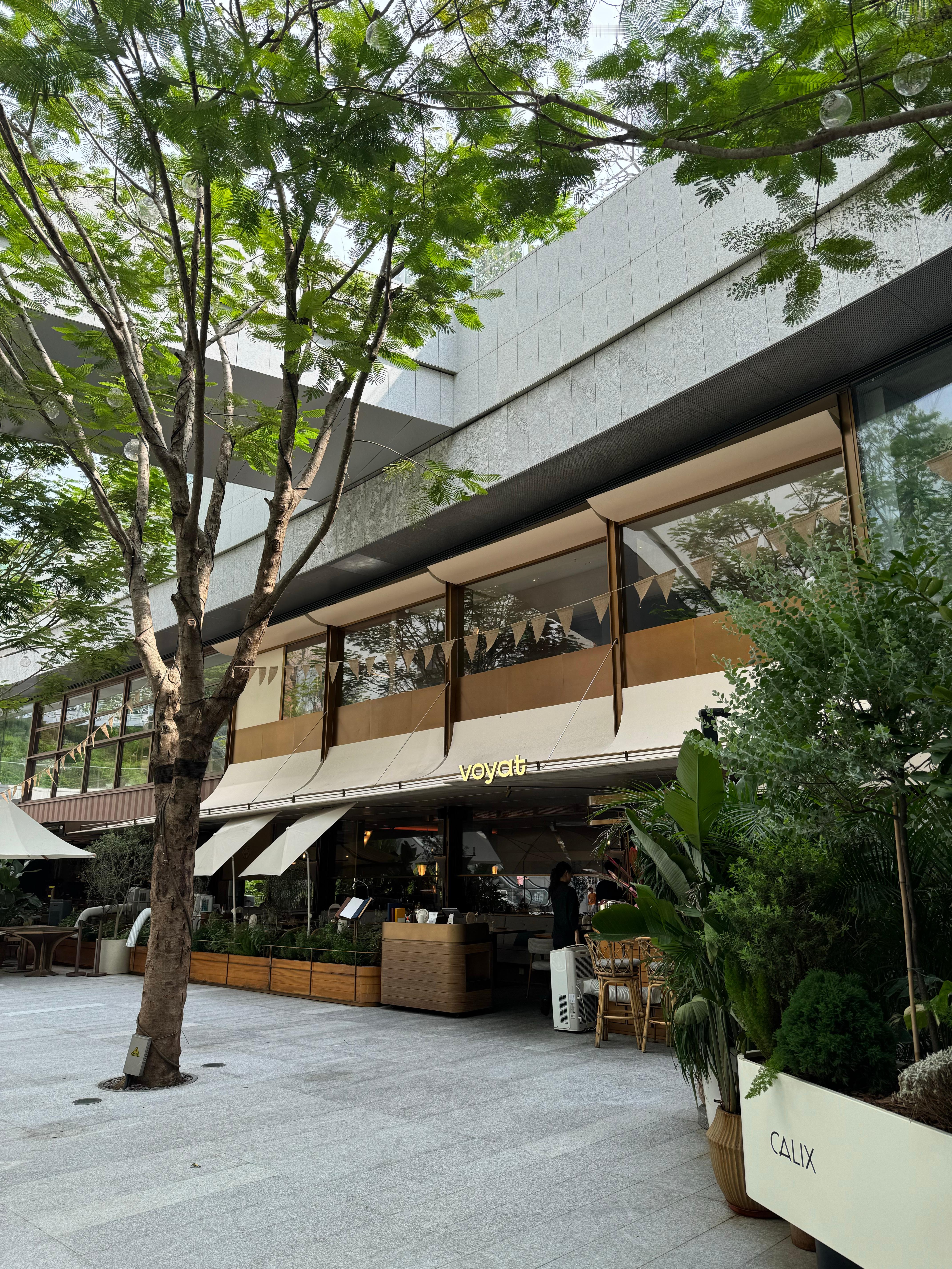 下午去深圳湾万象城，很多餐厅和咖啡店是上海开来的边逛边感觉有点像穿越到七八年前的