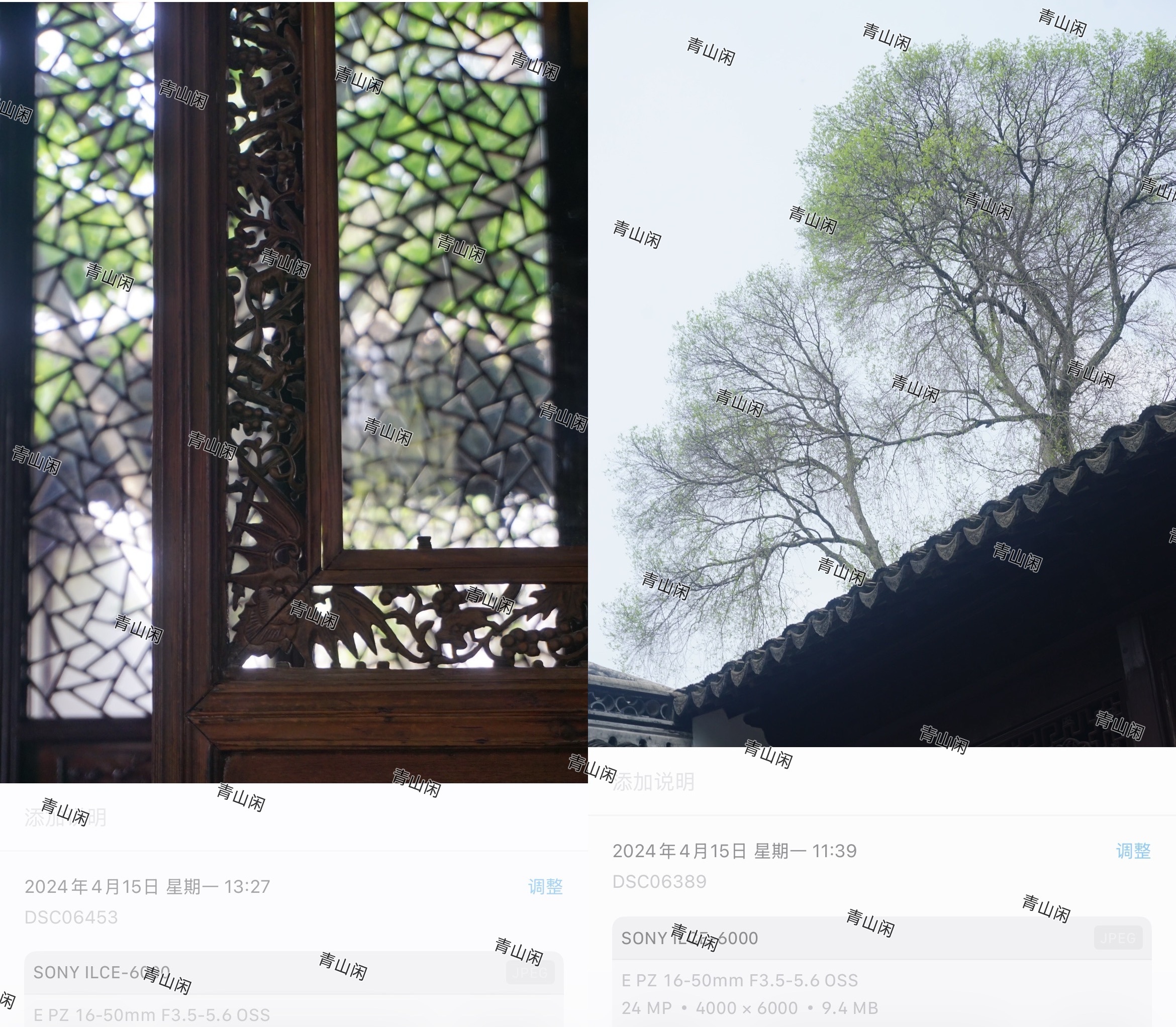 在按年月日整理多年来的火车票电影票门票飞机票等等 突然翻出本野生女摄用索尼A60