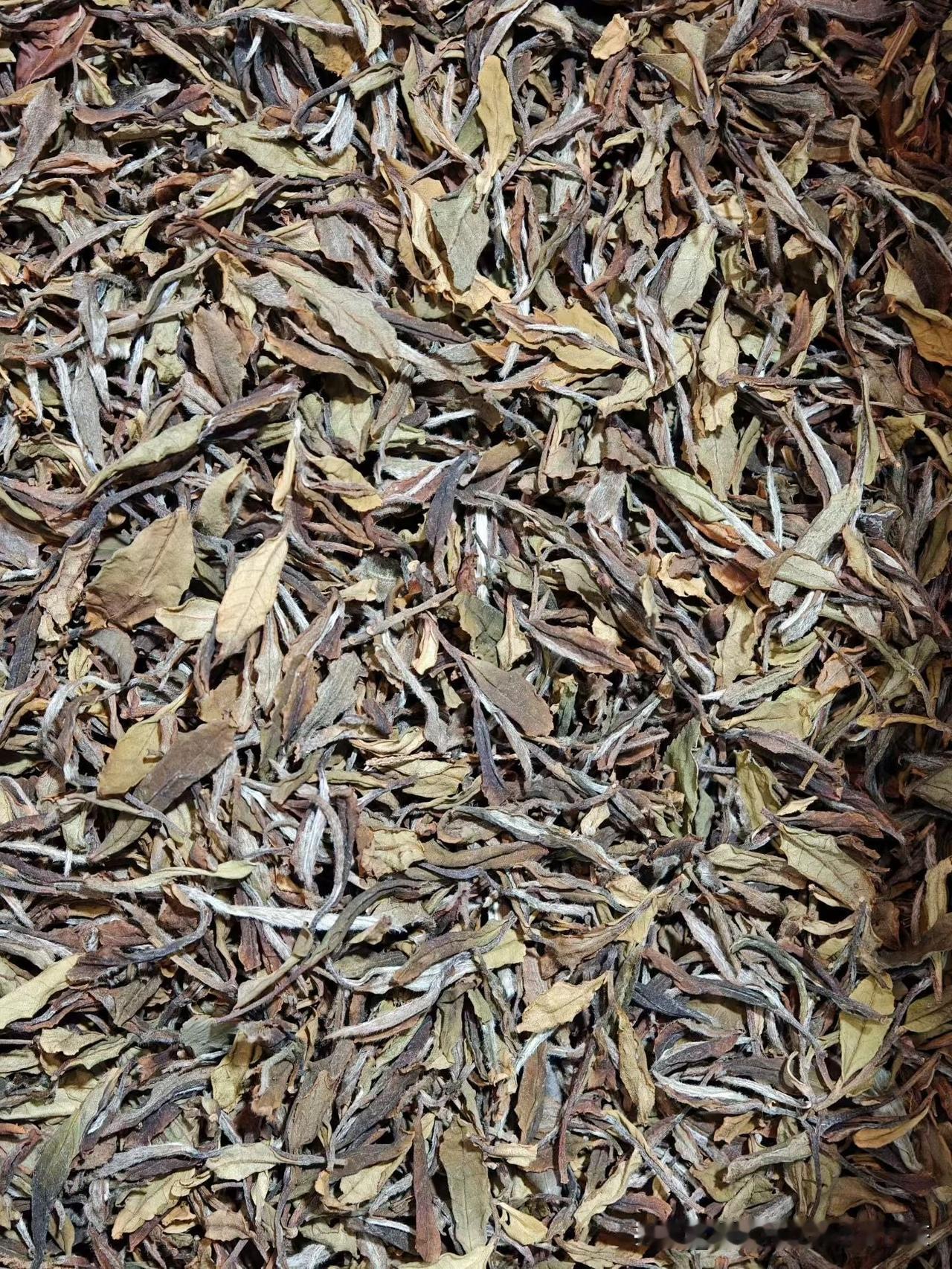 求助！老爸催我头条直播卖磻溪白茶，我有点打退堂鼓😮‍💨
想问下大家，你们会在