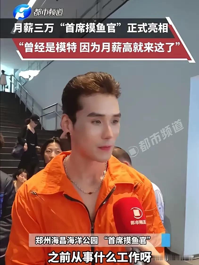 每天“摸鱼”2小时，就能拿到3万元工资？！这么好的事去哪里找啊？！郑州海昌海洋公