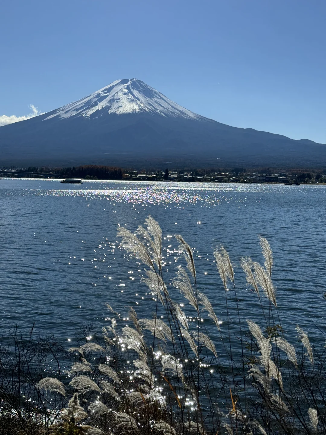 日本 | 看看你们拍的富士山