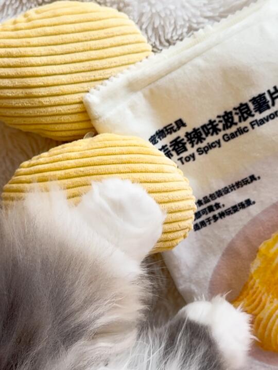 鼠片制作工艺流出！看了你还敢吃吗