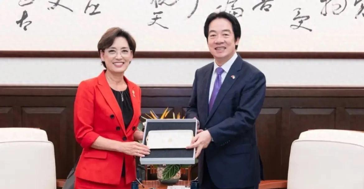 7月30日到8月1日，美国众议院外委会印太小组主席金映玉，率领跨党派4名众议员代