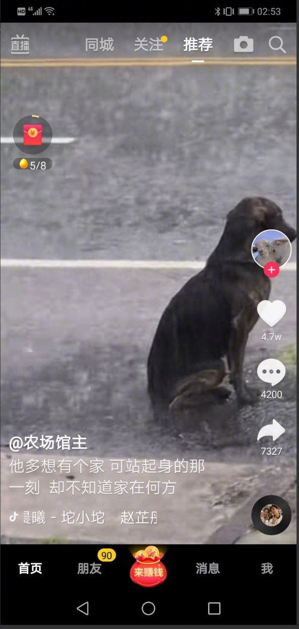 在瓢泼大雨中坐了很久的狗狗，当它起身后，环顾四周却不知该往哪里去，狗狗只想有个家