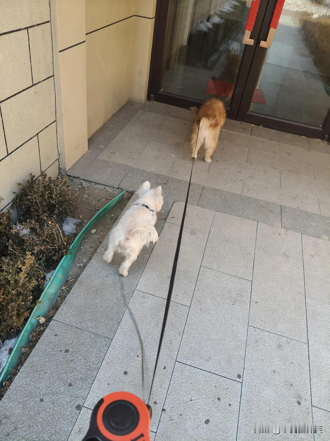 2+9+7+5+8+6+4+4+6+3+6+6+6+4+5+4+2+4+3+6