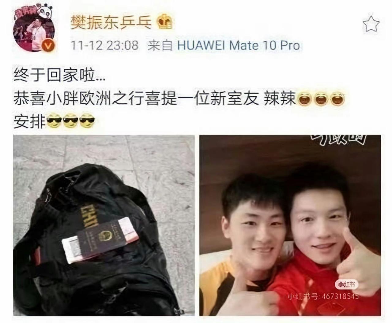 看得出来，小胖非常喜欢他的新室友~辣辣[大笑]