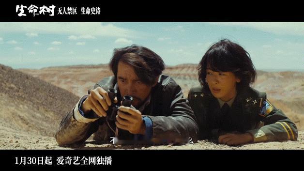 生命树群像内核是钢铁般的意志电视剧生命树 杨紫的采访真的越看越期待这部剧，高原拍