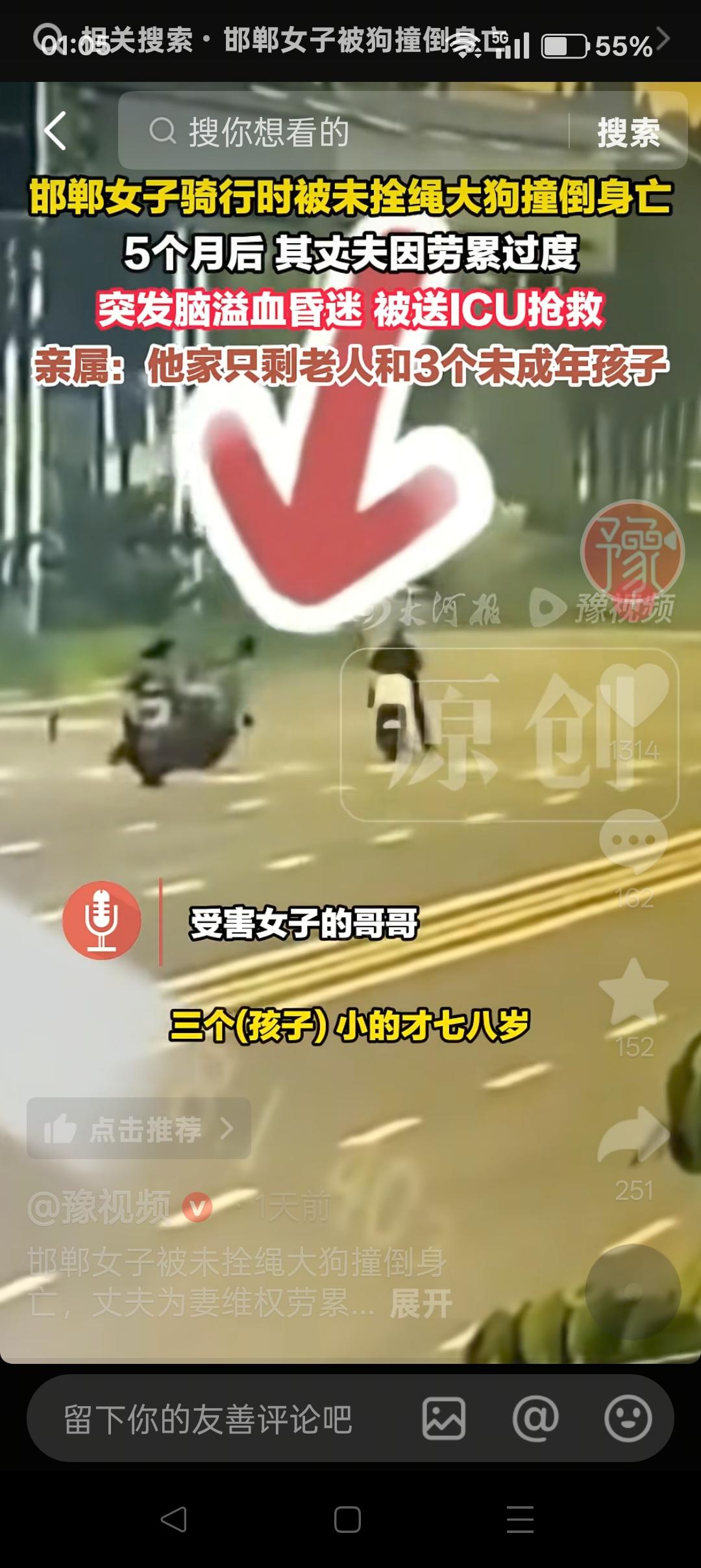 邯郸女子被未拴绳大狗撞死案，考验法官公平正义的时候到了——人毒死了狗，人被判四年
