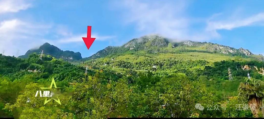 “八里河东山”有一个被誉为“八十年代上甘岭”的主峰，当年的硝烟，这里变得面目全非